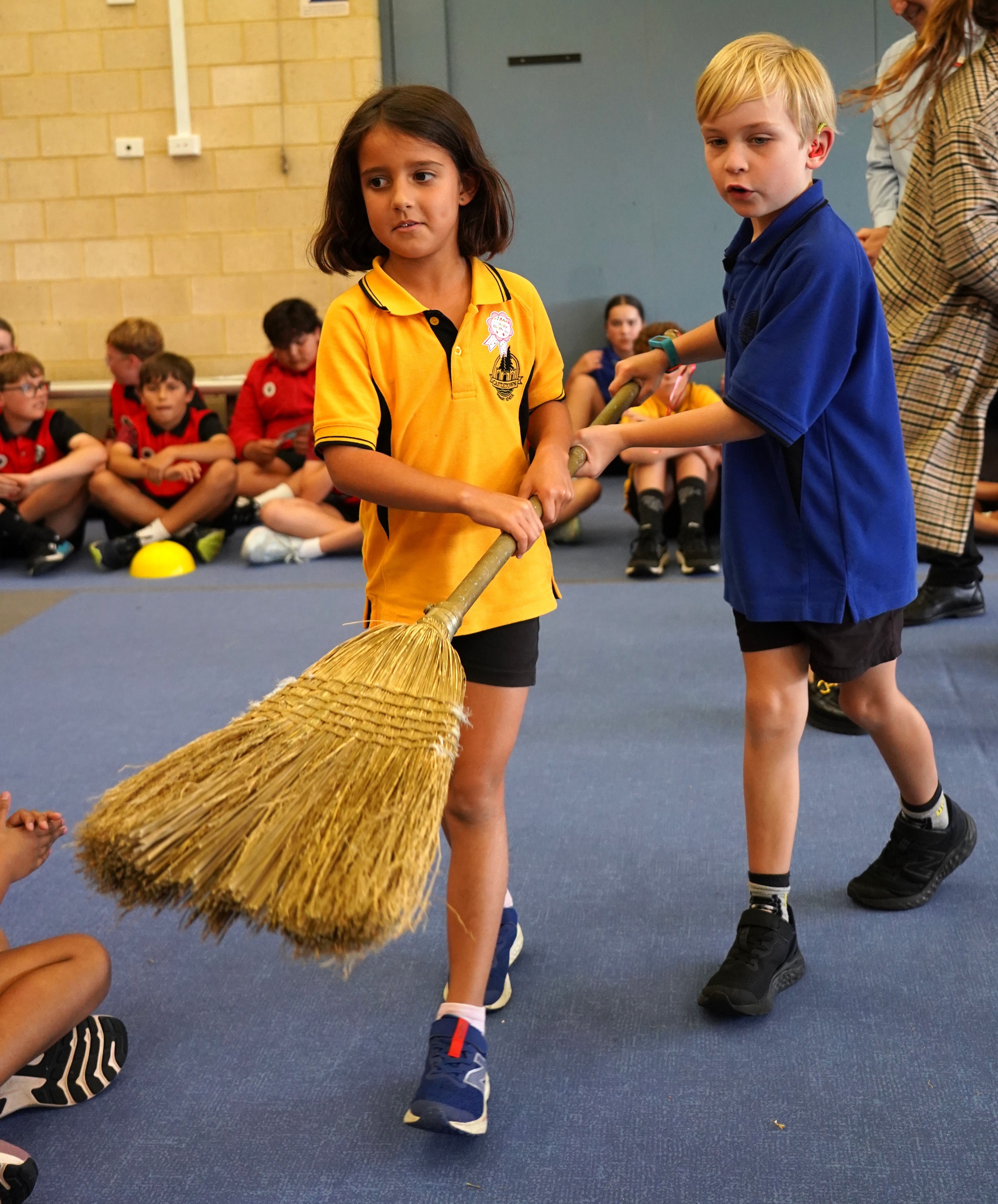 /uploaded_files/media/gallery/1776911297Golden Broom Rm5.JPG